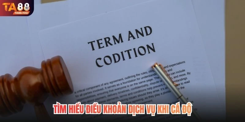 Tìm hiểu điều khoản dịch vụ khi cá độ 